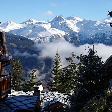 Chalet Le Trappeur A 1850, Hammam 公寓 谷雪维尔